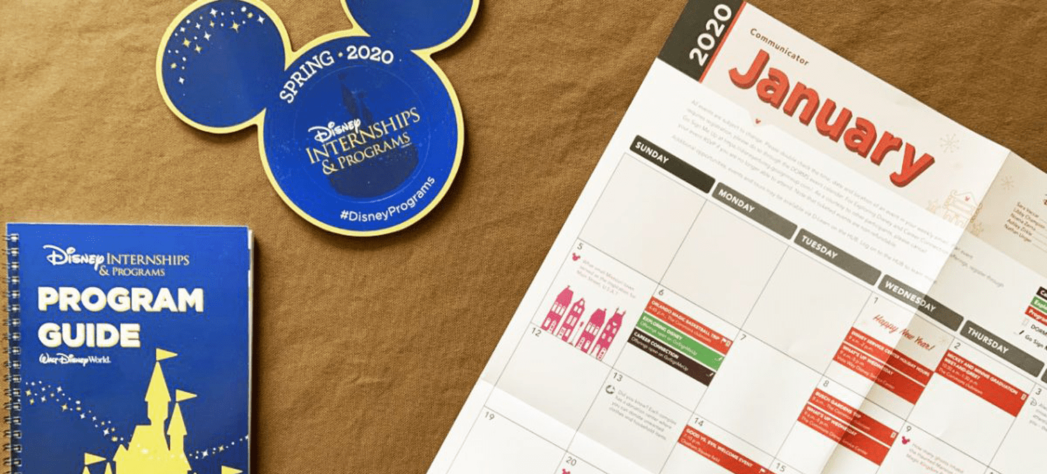 Material de divulgação do Disney Program / Disney Programs Blog