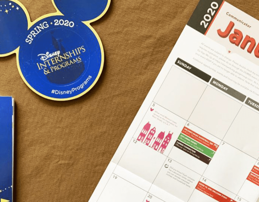 Material de divulgação do Disney Program / Disney Programs Blog