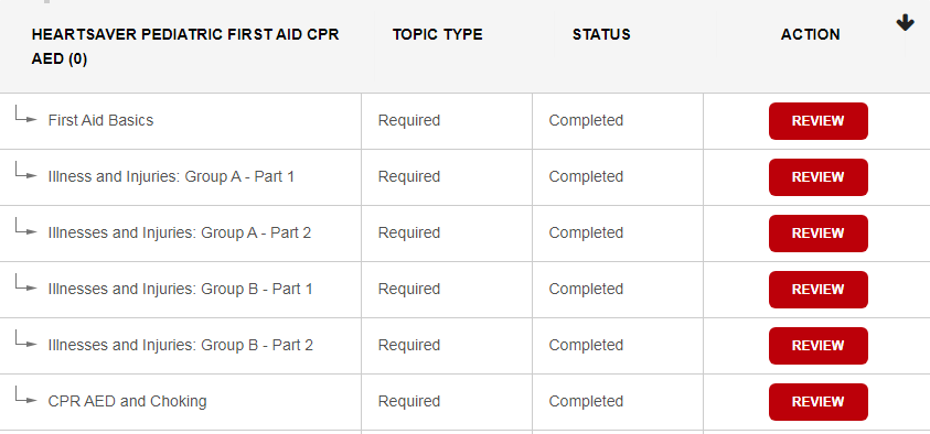 First Aid Course (AHA)