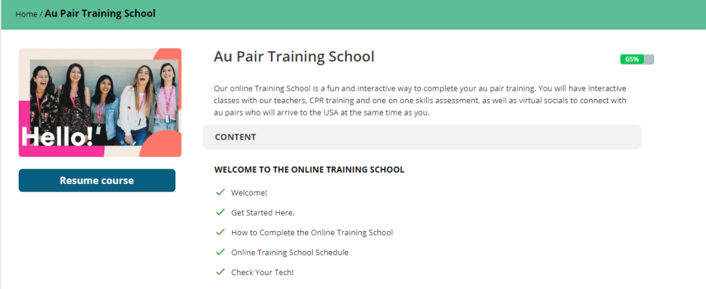 Plataforma Training School Online Cultural Care