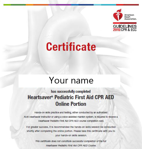 Exemplo de Certificado do Curso First Aid (AHA)